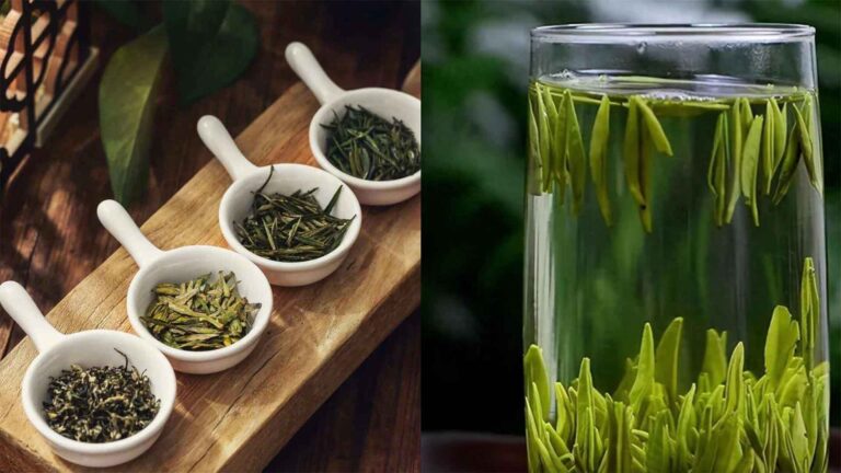 longjing tea china green tea