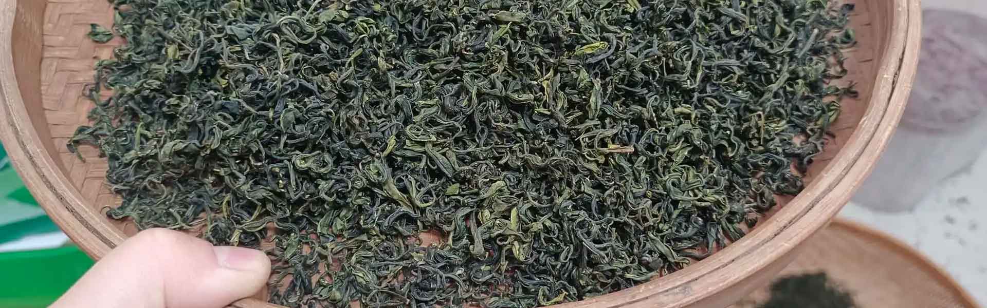 Chinese green tea wholesale