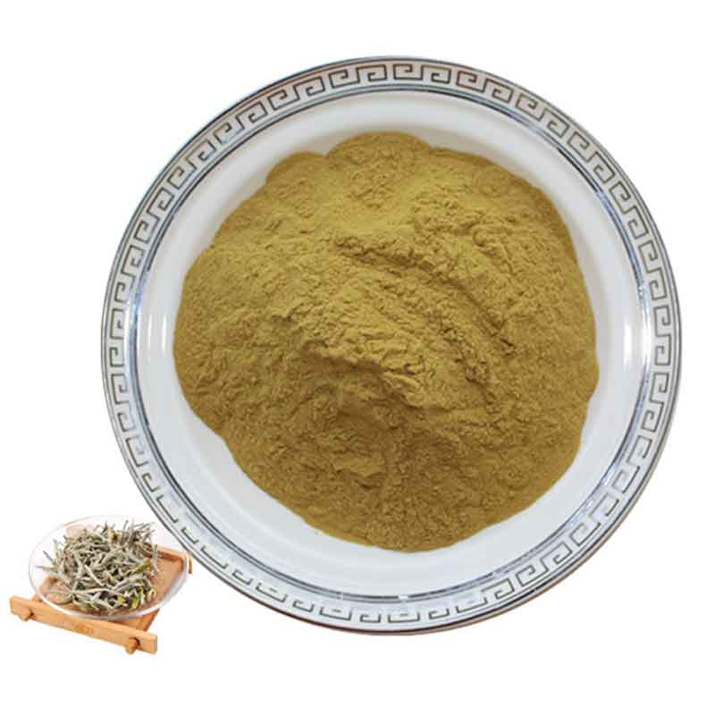 Premium White Tea Powder – Wholesale Organic Bulk Supply