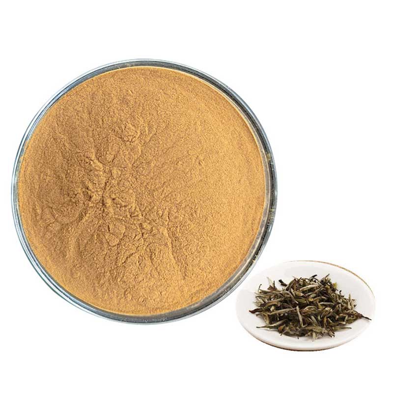 Premium White Tea Powder – Wholesale Organic Bulk Supply - Image 4